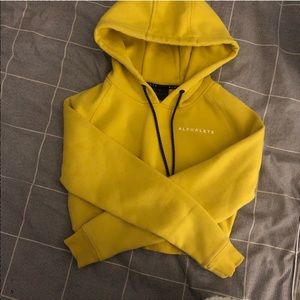Alphalete Cropped Hoodie